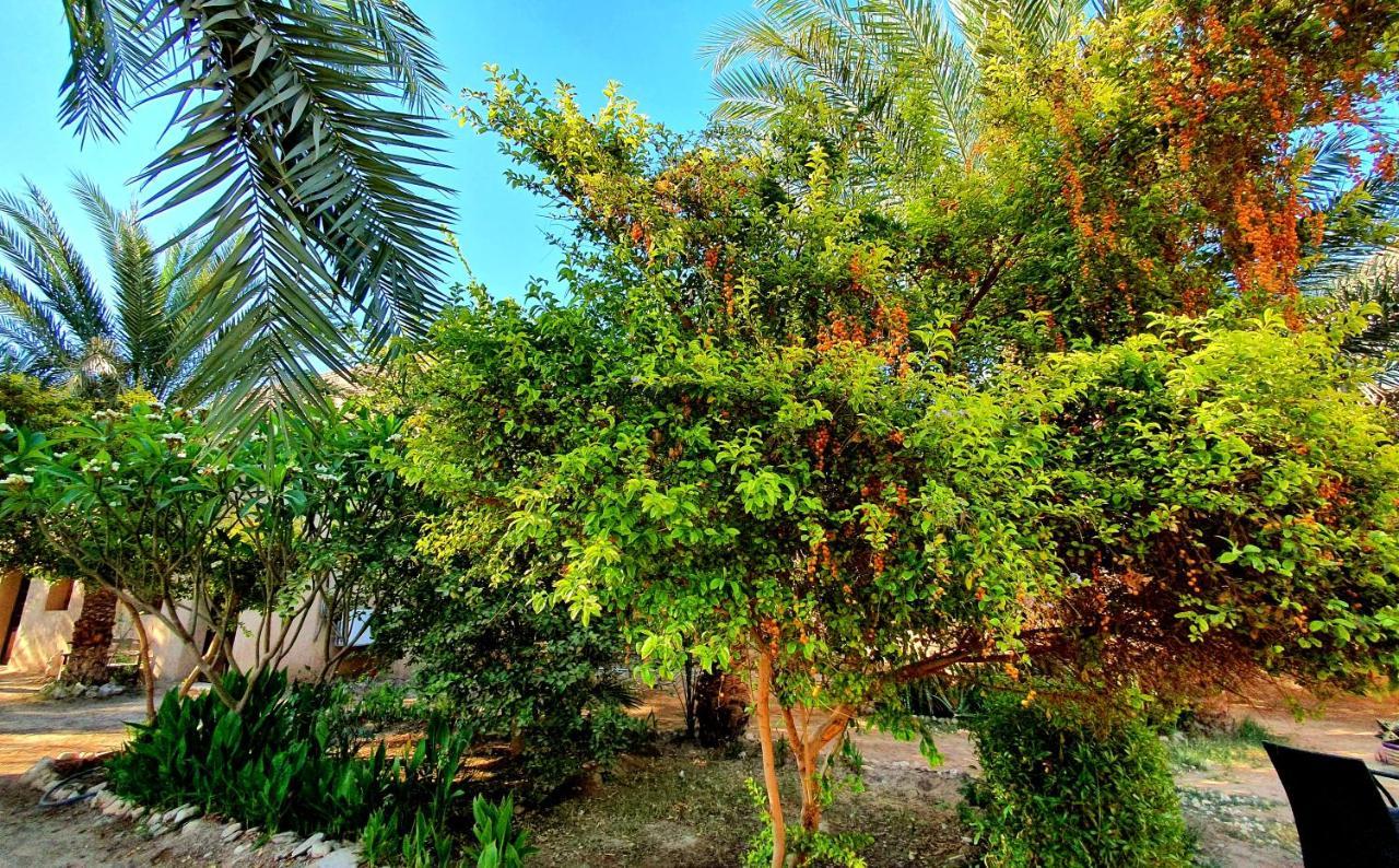 Sekhmet Retreat Centre Hotel Luxor Exterior photo